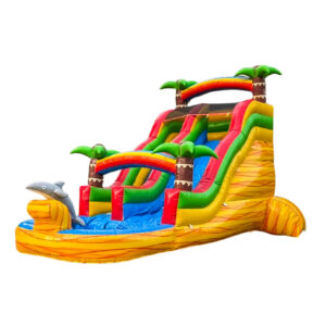 16 Foot Dolphin Dash