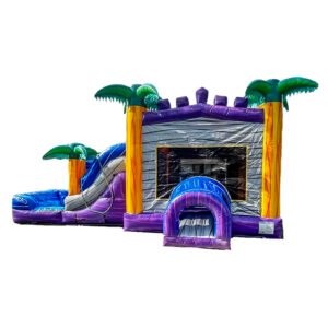 Bayou Bounce & Slide
